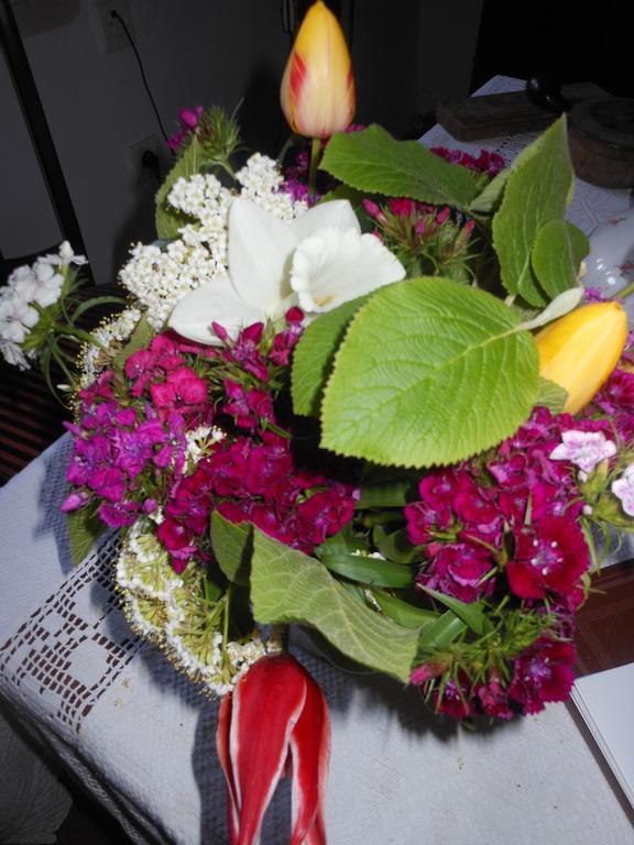Fonagy Es Walter Vendeg- Es Borhaz Bed and Breakfast Vác Δωμάτιο φωτογραφία