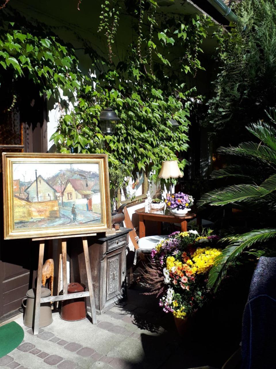 Fonagy Es Walter Vendeg- Es Borhaz Bed and Breakfast Vác Εξωτερικό φωτογραφία